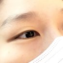 쎄씨헤어라인 | 대구 반영구화장 추천 ! 쎄씨브로우에서 눈썹,아이라인 반영구 후기 ♡