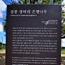 주문진초등학교삼덕분교장 이미지