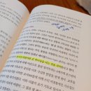 선정화 | 성경 해석 - 삶을 바꾸는 기회