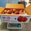 이영신 농장 이미지