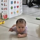 ❣️육아 182일-198일❣️첫 수면내시경 후기, 냉장고 찌그러지고 세탁기 문 깨진 강동구 이사 업체 후기