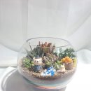 테라리움 이미지