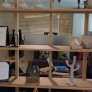 에비뉴의원 이미지