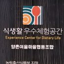 양촌여울체험캠프 이미지