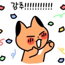 조은미트 이미지