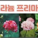 성일농장2 이미지