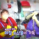 안짭은집