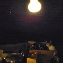 성공렌트카 이미지