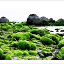 바다스토리리조트 이미지