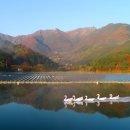 선정태양광발전소 이미지