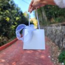 공곶이 | 거제 공곶이 수선화 축제 후기 | 셔틀 및 개화상황