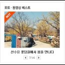 알프커피전문점
