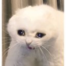 예하우스 이미지