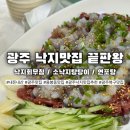 낙지한마당 | 광주 용봉동 낙지한마당 가족모임 후기｜내돈내산 광주낙지맛집 추천