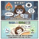 직장인 불면증 밤마다 잡생각 줄여주는 수면 영양제 추천! 가바 GABA & 테아닌 한 달 복용 후기