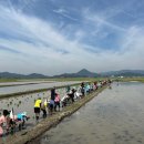 순천인안초등학교 이미지