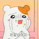 은평구민체육센터 이미지