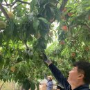 부안유통 이미지