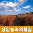 장암 송죽 억새길 이미지
