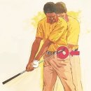 베스타골프 이미지