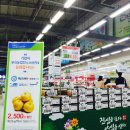 마트클럽농산물