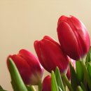 향기3로 이미지