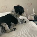 서대울목장 | 7월 일상기록(시에sie, 메비 세일, 여수여행 등)