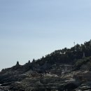 기장읍 경로식당 | 아이랑 부산기장여행 용궁사,브릭캠퍼스,조개창고,기장끝집,부산국립과학관,르컬렉티브호텔