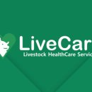 코리아양돈 이미지