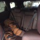 정원카센타 이미지