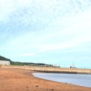 별이쏟아지는바다리조트 | 제주 와이리조트 오션뷰 스위트룸 내돈내산 솔직 후기 서귀포 가족 숙소 가격 총정리