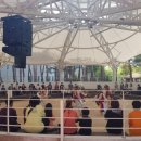 시립박물관 야외공연장 이미지