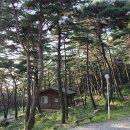 칠보산자연휴양림 이미지