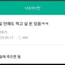 디베이크