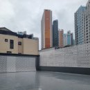 모글리몽 이미지