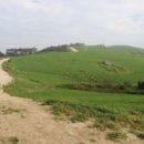 명우목장 이미지