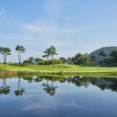 디아너스 이미지