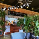 카페요디