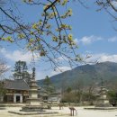 지리산 산내주유소 이미지