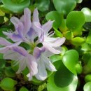 부춘농장 이미지