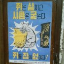 해를여는펜션 이미지