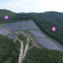 유광 태양광 발전소 이미지
