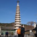 강진-16 이미지