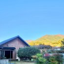 혜성펜션 | 하동 녹차밭 뷰 숙소, 쌍계사 근처 숙소, 마당이 있는 감성 산 뷰 숙소, 바베큐 가능, 내돈내산 후기!