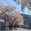 논산대로 이미지