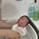 로열프린세스산후조리원 네이버블로그