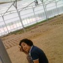 송한농장 이미지