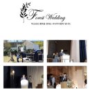 w-9 광주 결혼식 전문사회자 섭외(feat. 서나무 사회자님)