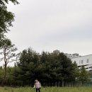 나이키송탄 | 백수의 걸어서 서울 to 부산 국토대장정 | 2일차 | 수원→평택 | 역대급 사건...?!