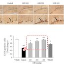 세교삼성한의원 이미지